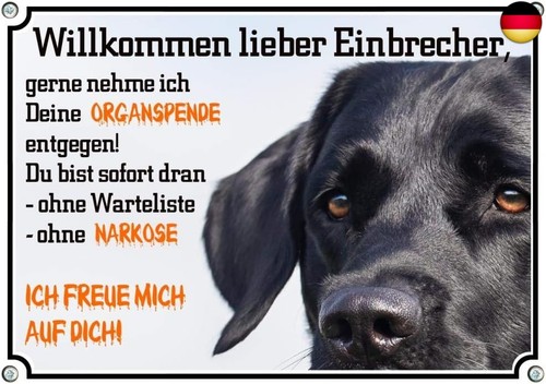 Hundeschild labrador retriever - labrador,