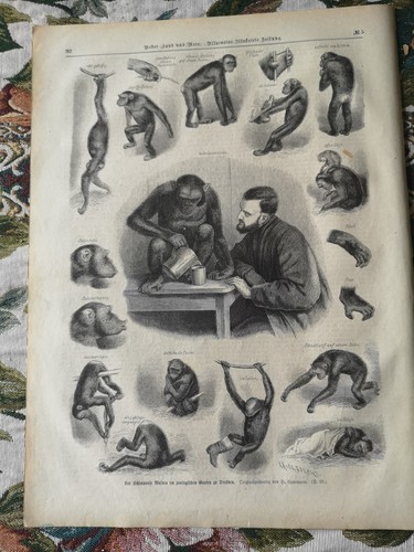ülum zeitungsdruck 1876 92 - zeitungsdruck,