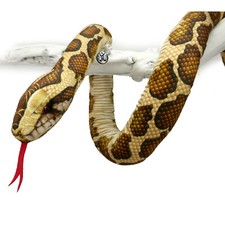 Tigerpython 100cm kuscheltier - 100cm,