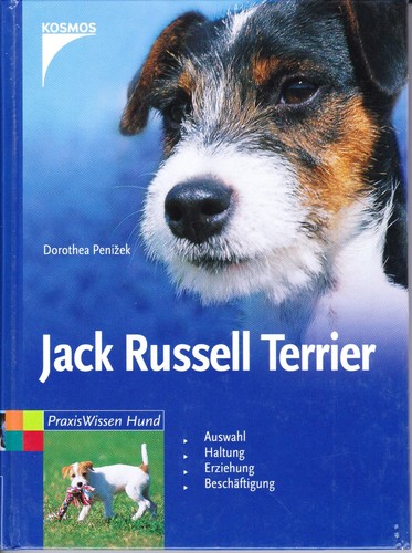 Jack russel terrier - russel,