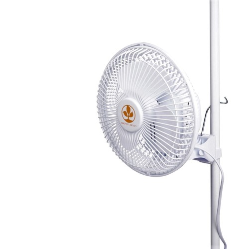 Secret jardin monkey fan - monkey,