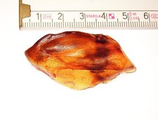 Herrlicher, baltischer