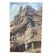 Postkarte AK Hamburg