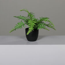 Farnbusch 30x25cm im Topf DP Kunstpflanzen künstlicher Farn Pflanzen Kunstfarn