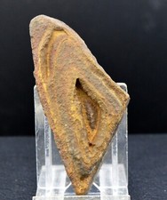 Tsesite 77 Gramm - Sahara, Algerien