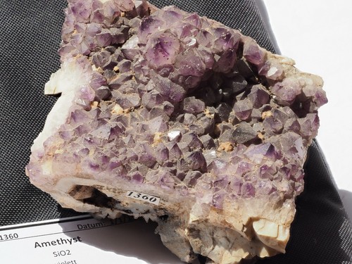 Amethyst von lomnitz - amethyst,
