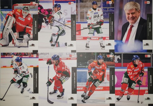 Del playercards 2025 2026 - del, 2025/2026