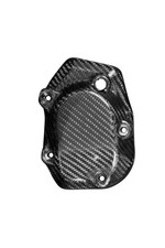 Carbon Gabelverkleidung für