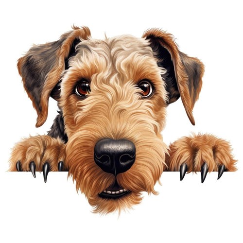 Designer aufkleber sticker - designer,