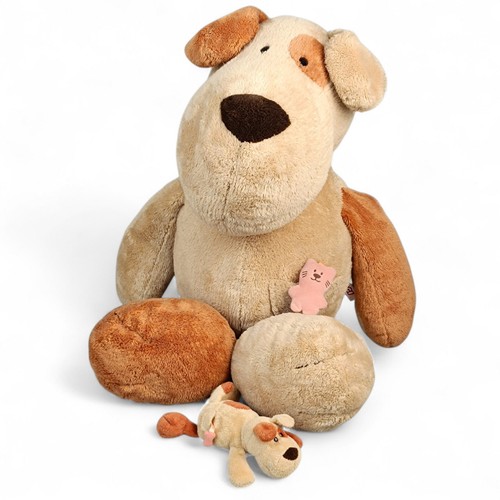 Nici hund mischling - hund,