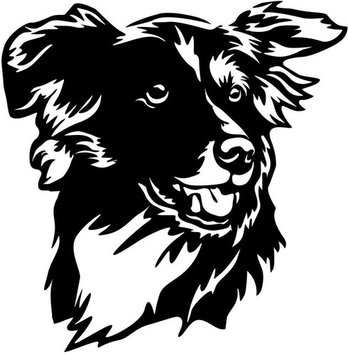 Border collie aufkleber - collie,