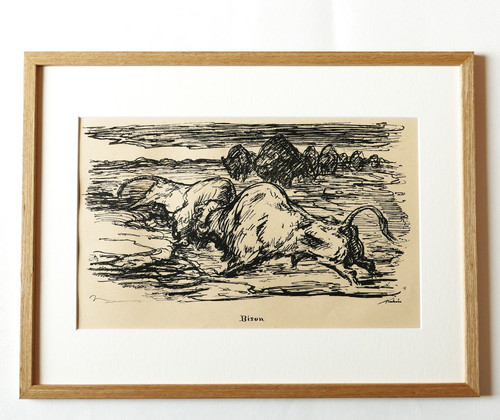 Alfred kubin bison - ", "