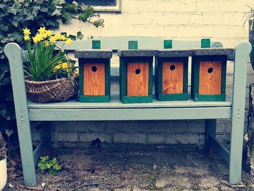 Meisen nistkasten vogelhaus - 1,