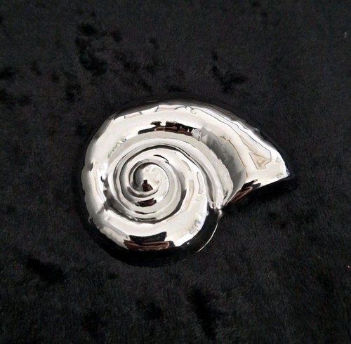 Nautilus ammonit silberfarbene - nautilus,