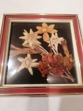 Edelweiß Bild Handarbeit ca. 10,3 x 10, 3 cm Kunststoffrahmen, Herbarium