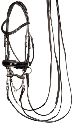 Harry horse kandare - horse, s&t
