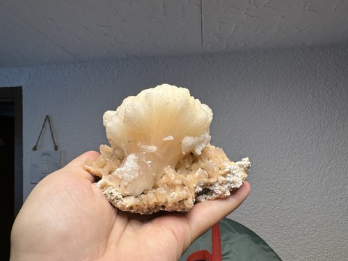ästhetische stilbit - Ästhetische, stilbit-xx
