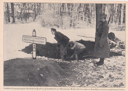 Skierniewice 1915 wk - 1., "