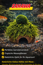 Aquarium Höhle Kokosnuss für