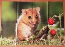 ✿RIESEN-TIER-POSTER