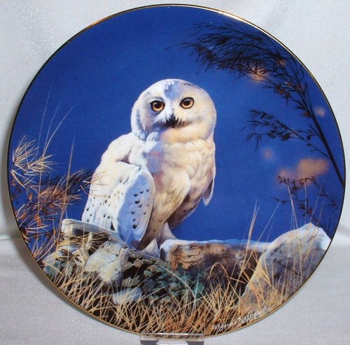 Night owls eulen der - night, nacht