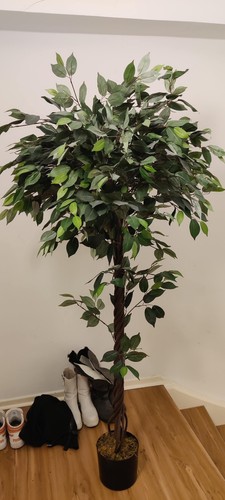 Kunstbaum ficus benjamin 180 - ficus-benjamin,