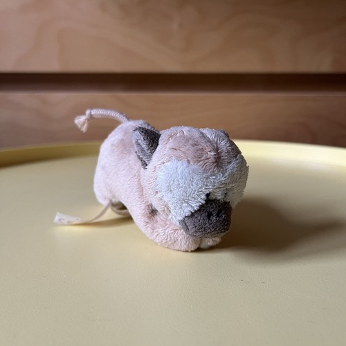 Magnici affe totenkopfäffchen - magnici,
