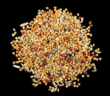 Wellensittichfutter 5 kg