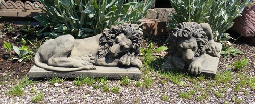 Löwe löwen tier skulptur - tier,