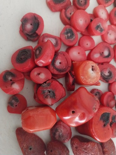 Konvolut koralle für schmuck - für,