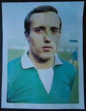 Sicker Sammelbild 378 Horst