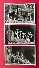 3 x Foto AK HAMBURG Stellingen