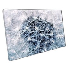 Pusteblume Web Leinwandbild