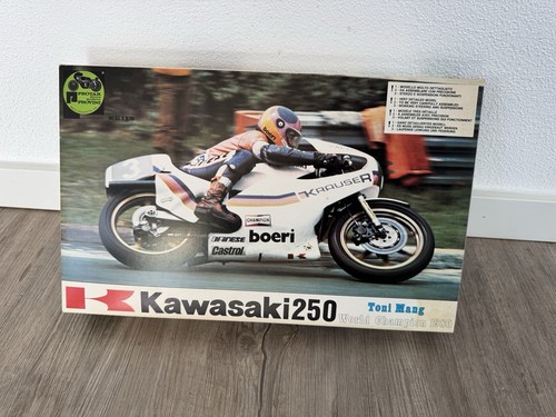 Protar kawasaki 250 toni mang - kawasaki,
