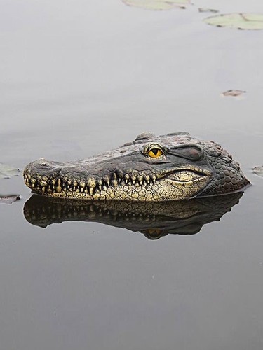 Krokodil kopf teich deko 32cm - kopf,