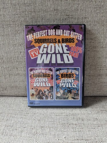 Squirrels birds gone wild - &,