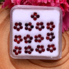 64 Stück Natürlich Mosambik