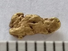 Goldnugget Barren Gold