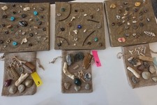 Fossilien Sammlung für Kinder