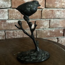 Vogel Küken Auf Ast / Weide