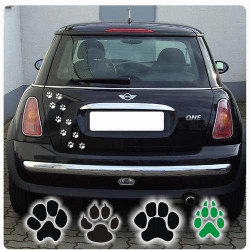 Hunde pfoten tatzen - hunde,