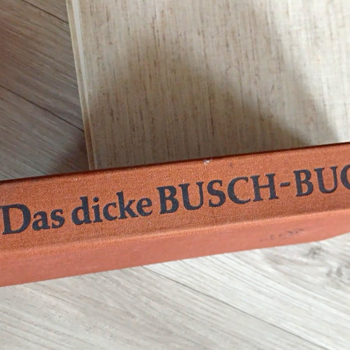 Das dicke busch buch - das,