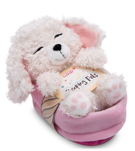Sleeping pets pudel weiss - sleeping,
