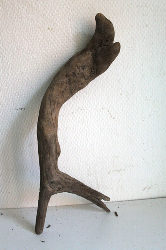 Schwemmholz treibholz - schwemmholz,