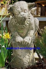 GA1102 Drache Wrade Fiona