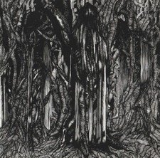 Sunn O((( - Black One - CD -