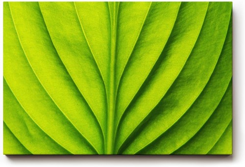 Sinus art wandbild - sinus,
