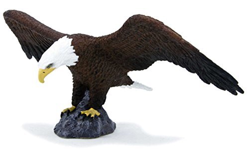 Amerikanischer