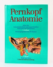 Pernkopf Anatomie des Menschen