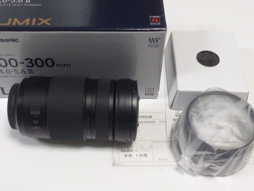 Panasonic lumix vario - g,
